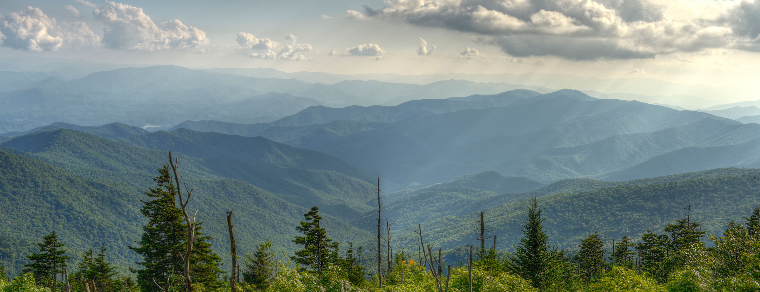 Sandra Kaiserreiner Sandra Kaiserreiner